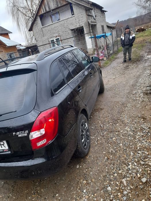 Se vinde Scoda și Seat