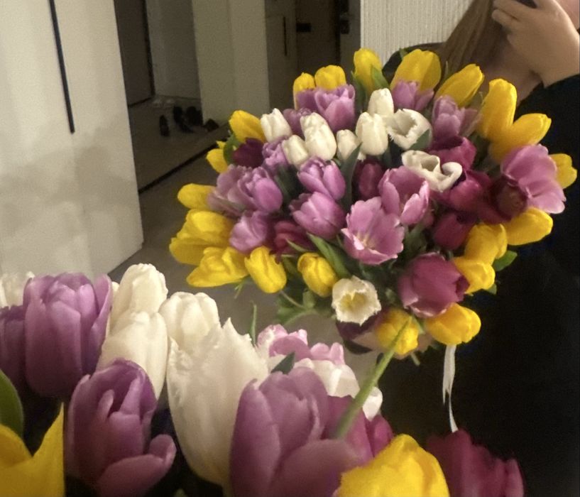 51 один голландский тюльпан