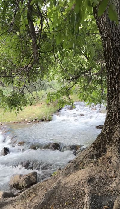 Аренда дача в Бургулуке