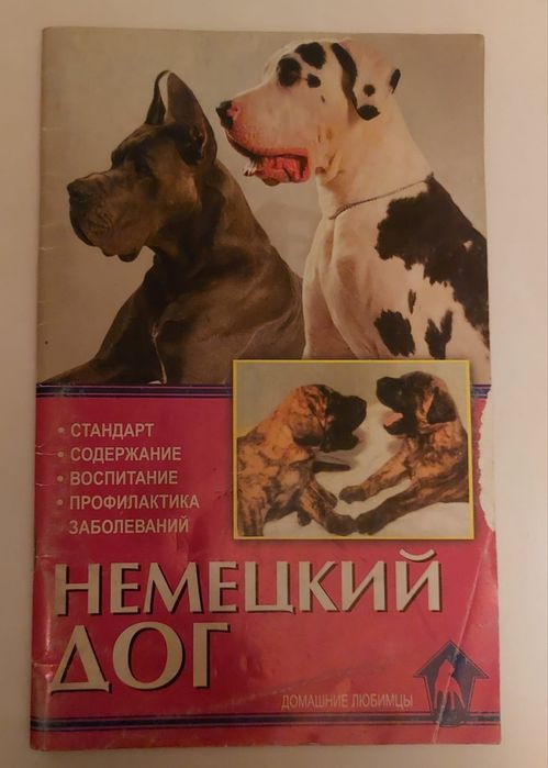 Немецкий  дог  порода