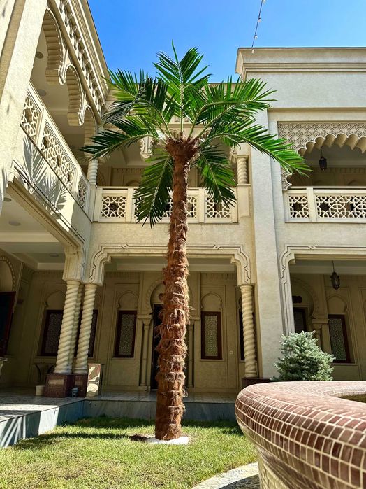 Sun’iy eko palma daraxtlari | 30% chegirma | bepul dizayn loyihasi