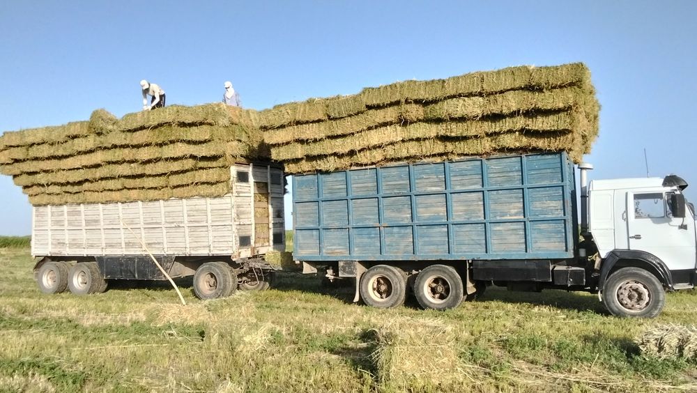 КамАЗ Кызылорда Жанакорган
