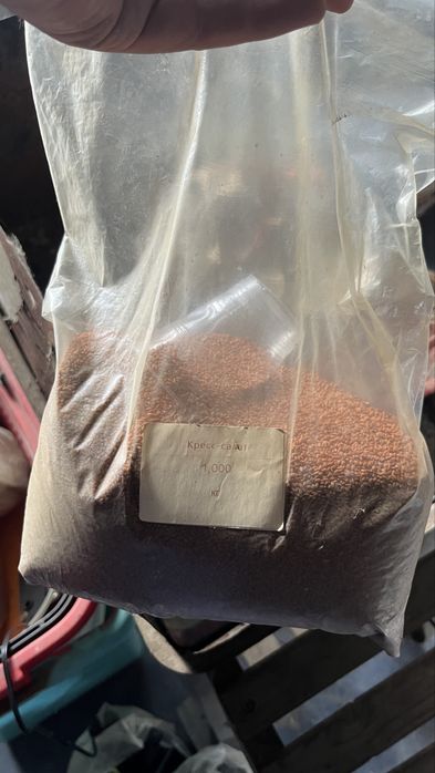 Семена микрозелень