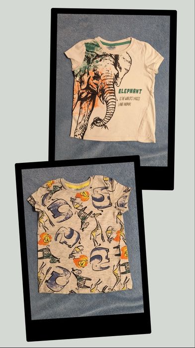 Set 2 tricouri cu animale, marimea 98
