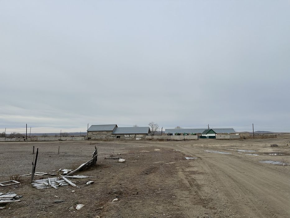 Продается дейтсвующее кх