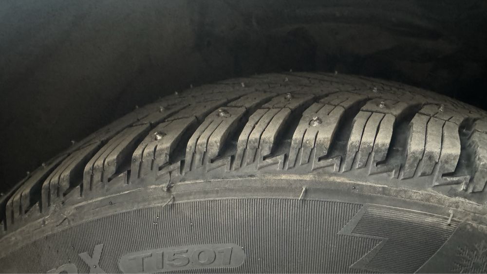 Triangle зимняя с шипами