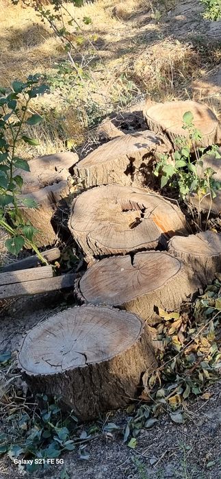 Дрова выпилинные