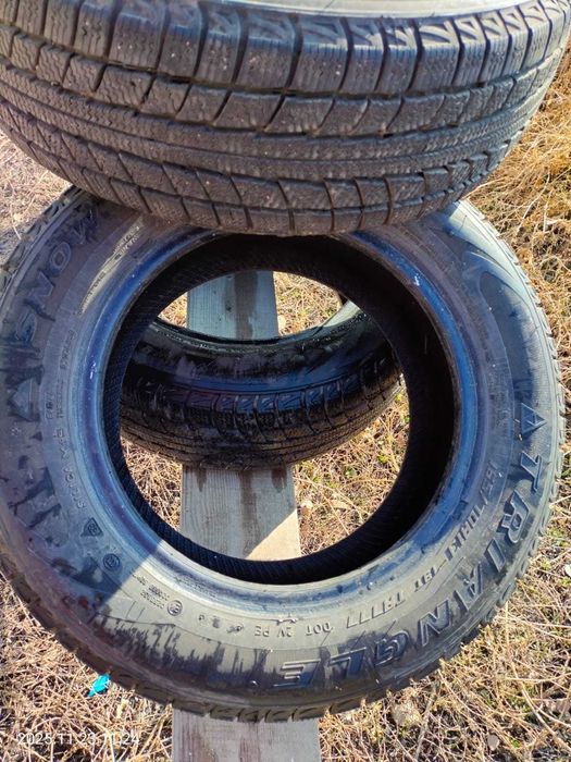 Шины зимние Triangle R13