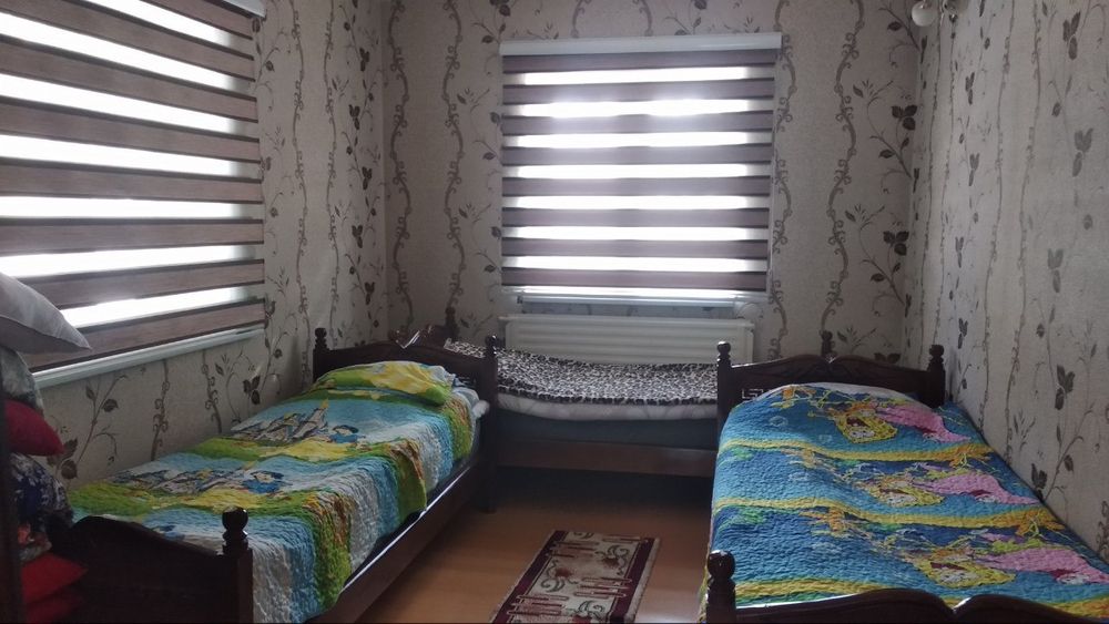 Дача природа в Чимгане