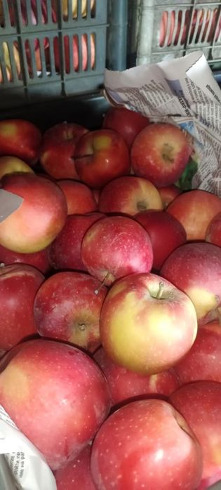 Яблоки американка