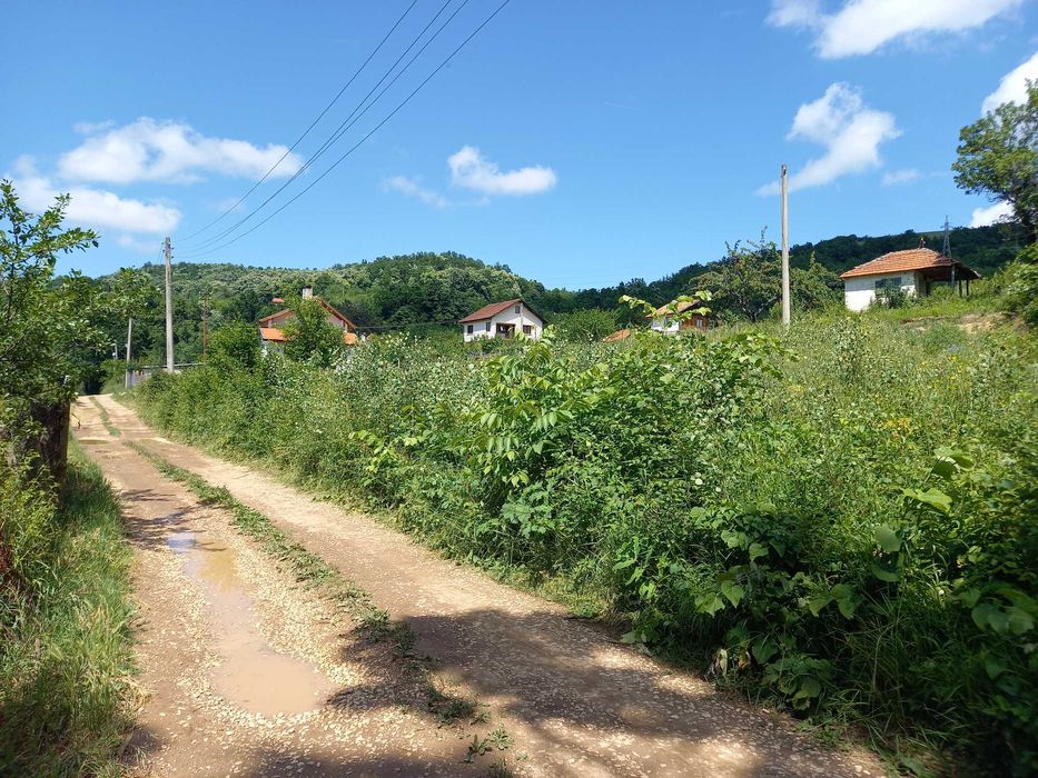 Косене ,почистване и поддържане на дворове ,лозя,ливади ,райгас