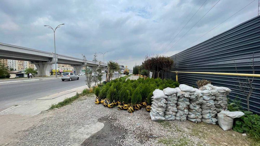 Qoyliq 7 massivda 35 sotix betonka joy arendaga (katta yo‘l bo‘yida)