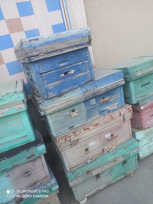 Asal ari qutilari sotiladi arzon narxda pul kere srochna