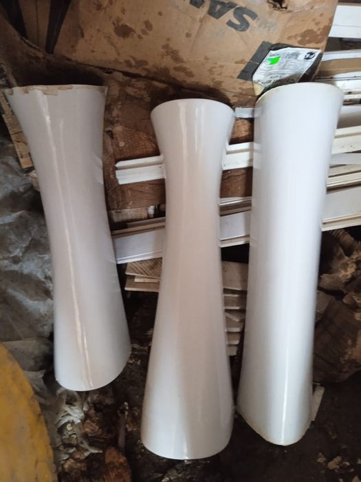 Раковины тюльпаны разные