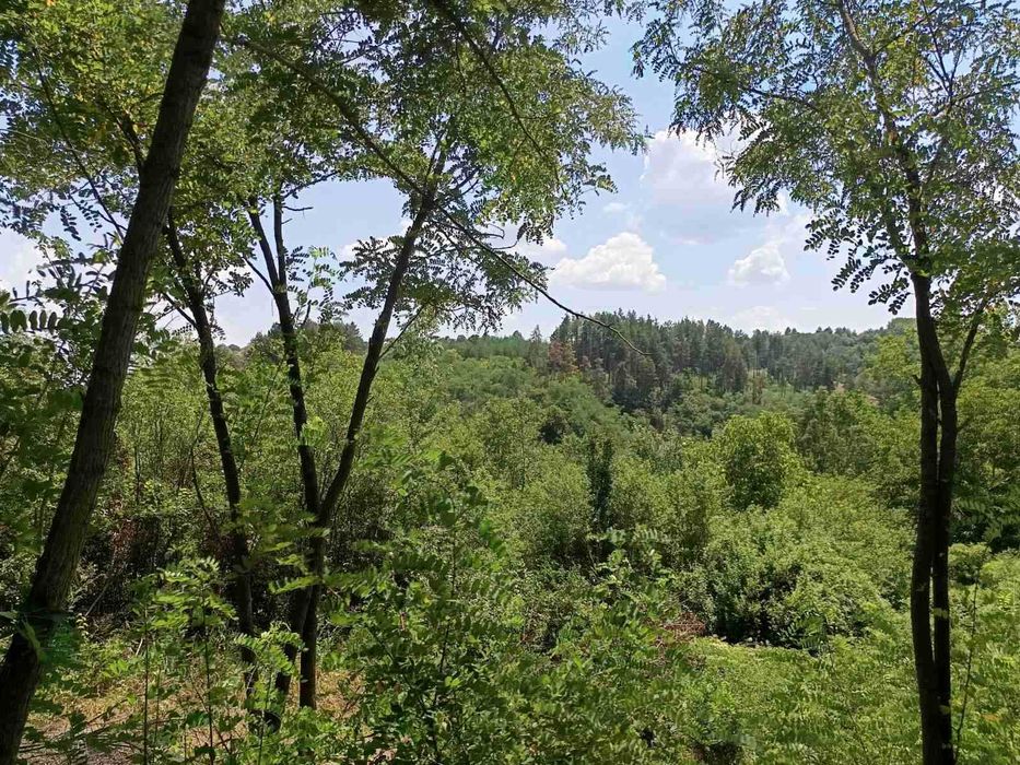 Продава красива плетена къща в с.Радуловци на 35 км. от София