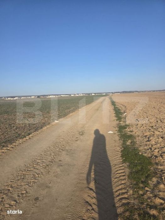 Teren intravilan, 5000 mp, zona Selgros, Preajba