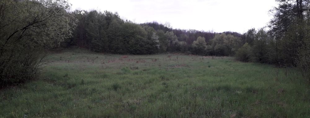 Teren vacanta.Teren la tara.casa vacanta.padure.deal PetrisCorbesti AR