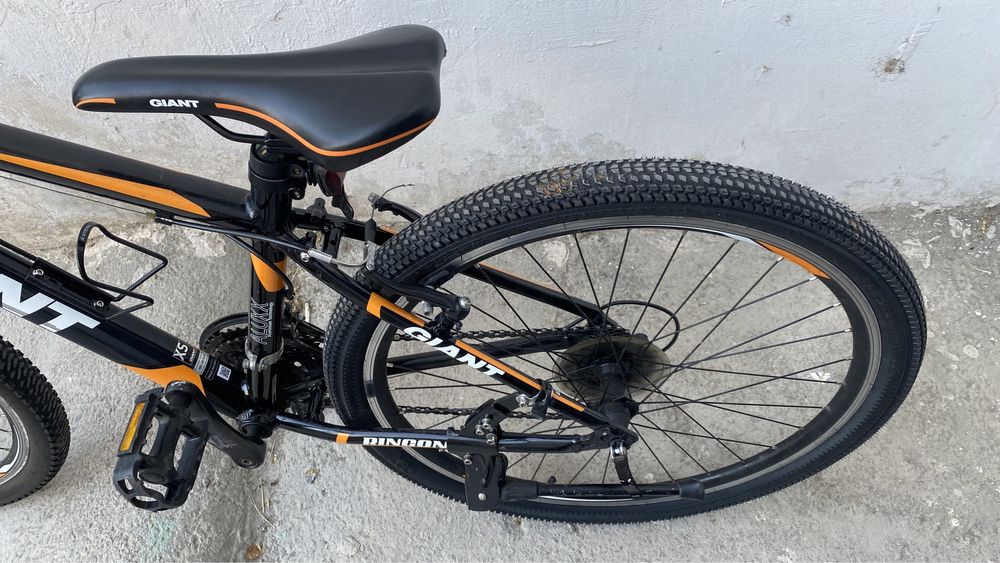 Giant rincon, author, Scott, cube