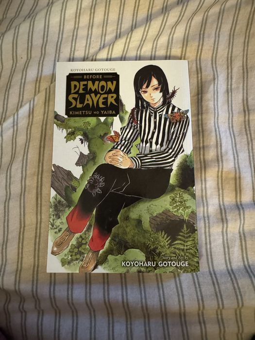 Before Demon Slayer Kimetsu no Yaiba Manga