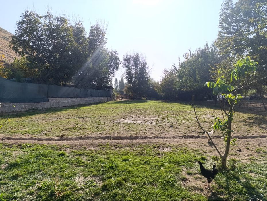 Bostonliqda 21 sotikli hovli sotiladi