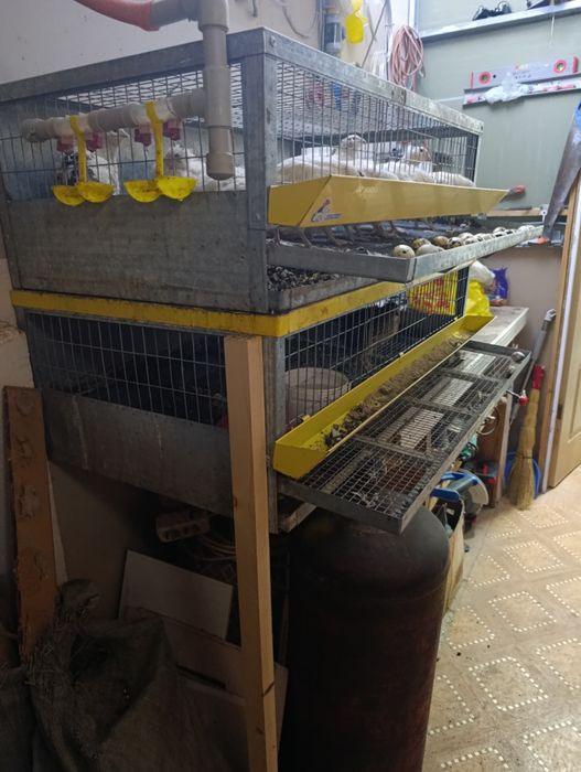 Клетка для перепелок