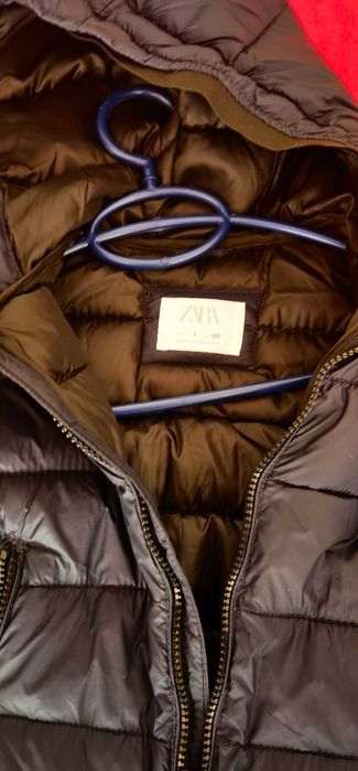 Jacheta matlasata zara