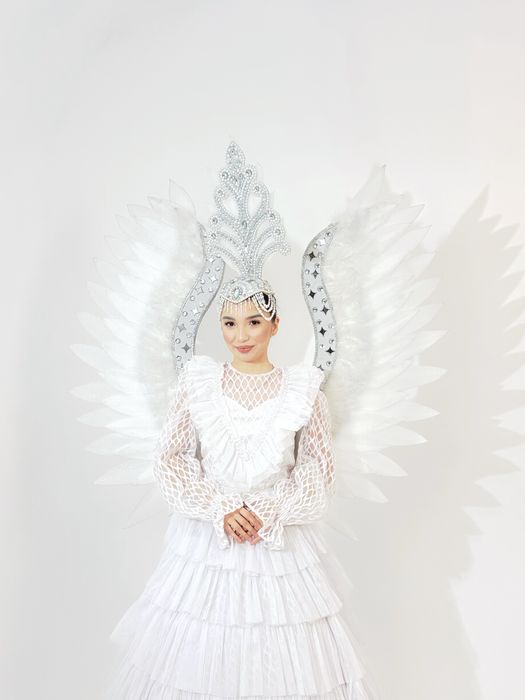 5 шт Аққу көйлегі қанатымен