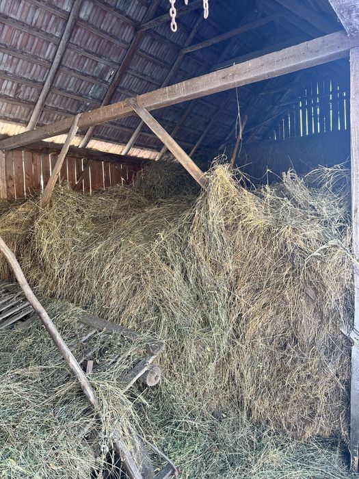 Vand fan uscat comuna Band