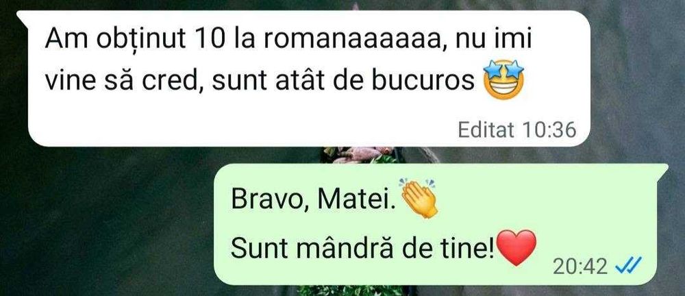 Meditații Română