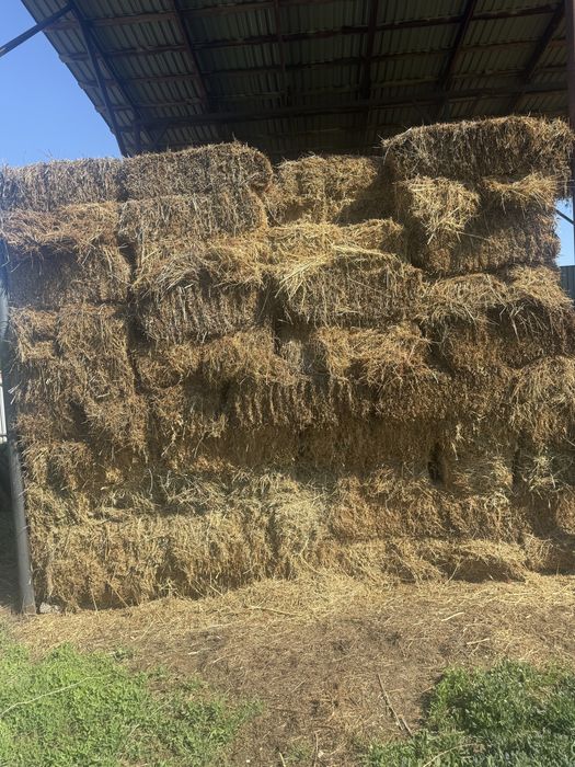 Продам сено стояло синовале с позопрошлого года
