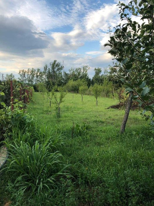 Casă de vânzare P+M TEREN 1200 mp Șimian