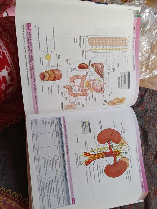 Atals de anatomie Grant, ediția a 14-a