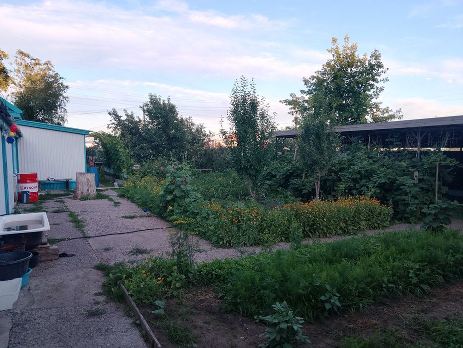 Продам дом поселок Курашасай