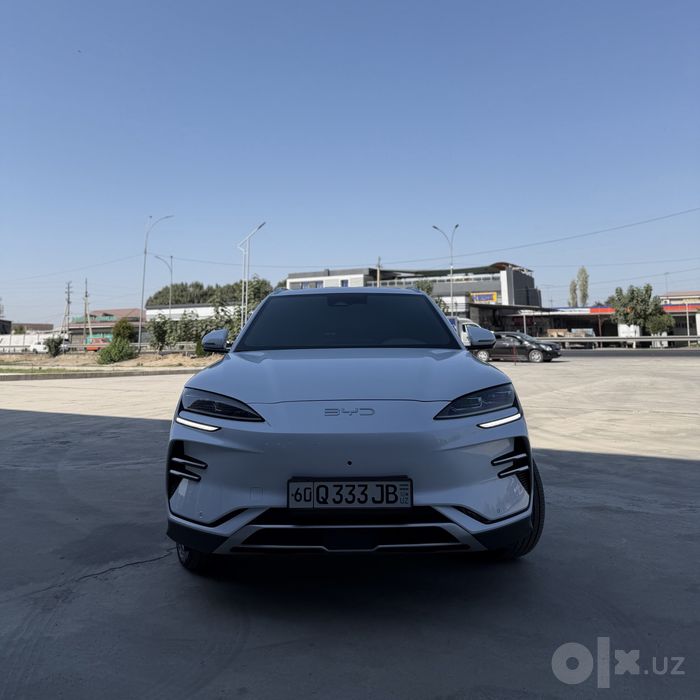 Byd champion restyling