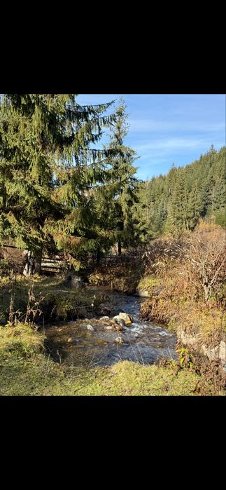 Oportunitate Unică: Domeniu Montan de 2.4 Hectare cu Casă – Ideal Turism, camping sau Rezidență