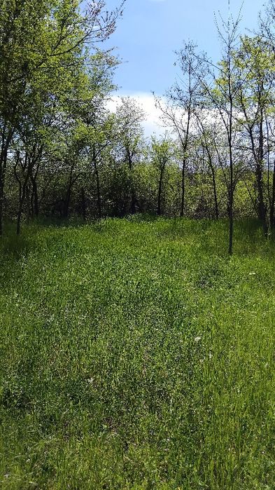 Продава имот в с.Бараково общ.Кочериново