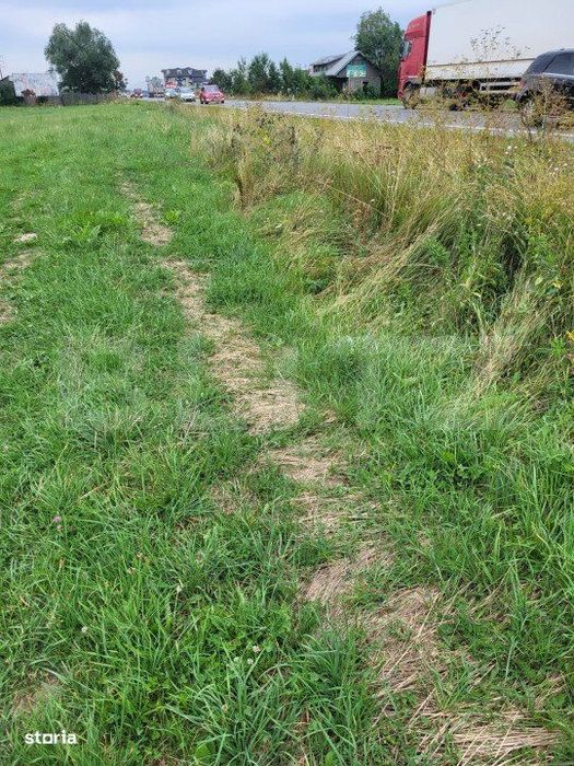 Teren Gura Humorului deschidere la DN