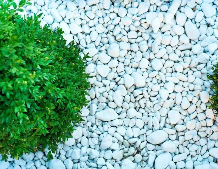 Камень декоративный белый 1см-6см 20 кг