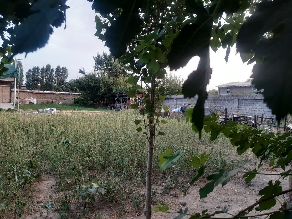 Yer sotiladi 6sotix suv gaz svet internet bor sharoit bor