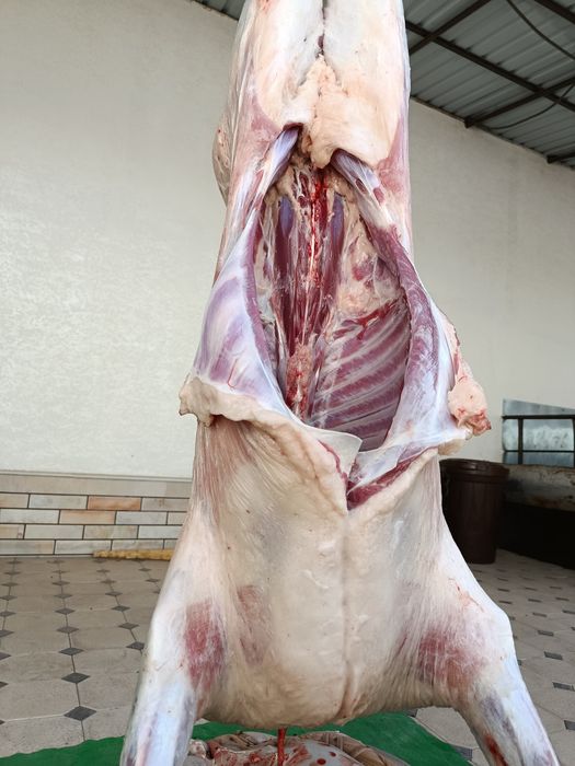 Кассоб- Qassob service hizmati