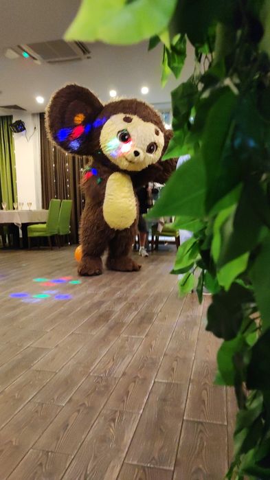 Белый мишка Чебурашка 
белый