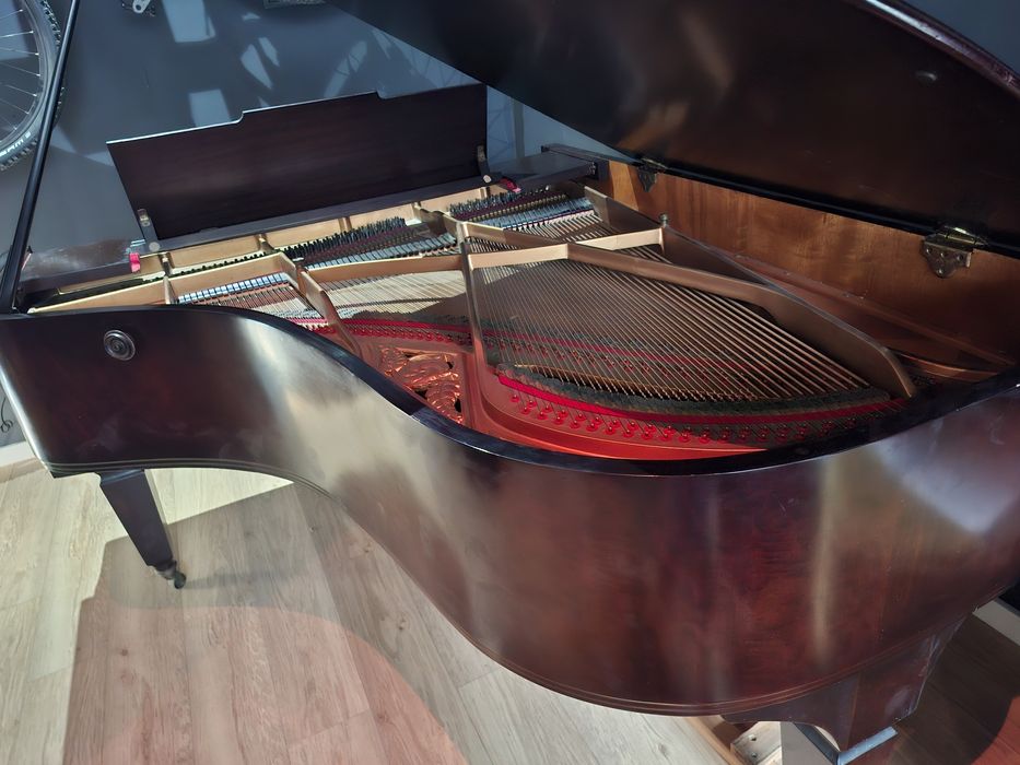 Grandpiano Ibach