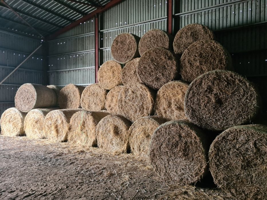 Vând baloti de paie rotunzi