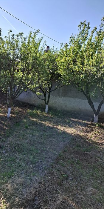 Продава се Къща в с. Кривня, Област Русе - 50 кв.м за 306 €/кв.м - Снимка #5