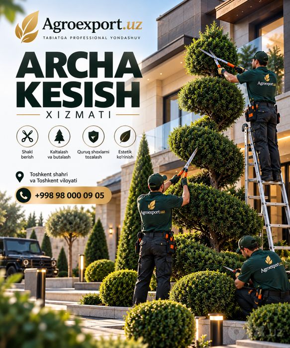 Archa kesish | daraxt kesish