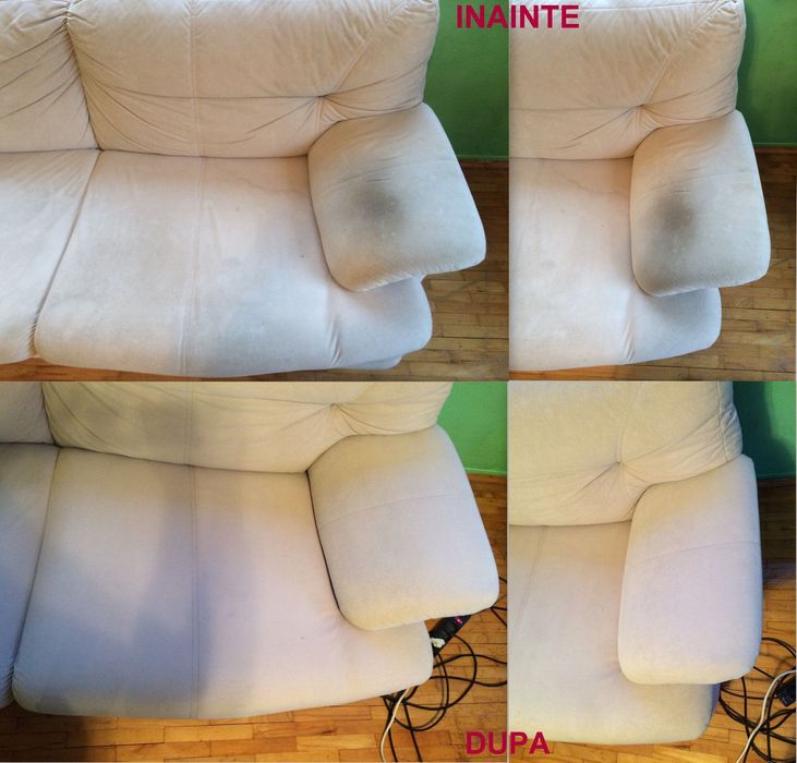 curator canapele și colțare