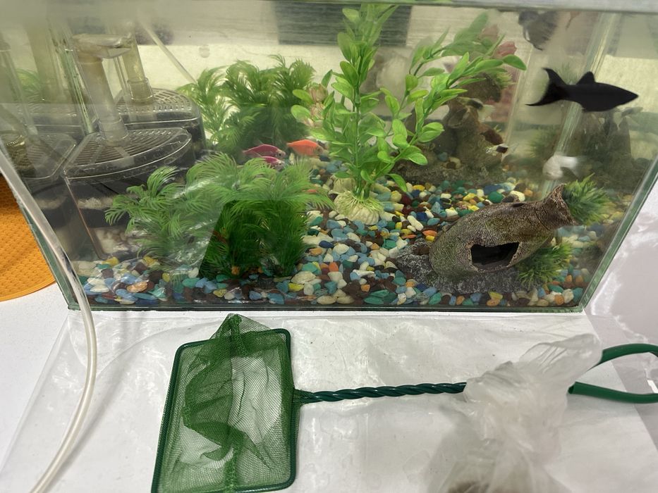 Продам аквариум с рыбками