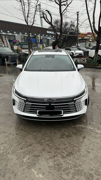 Byd chazor 120 km