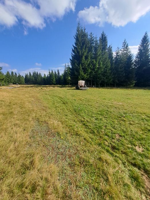 Vând teren la Marisel