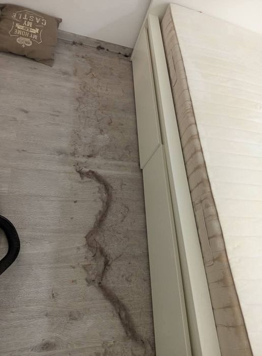 Servicii de curatenie